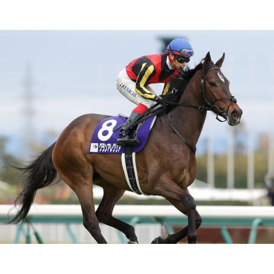 グランアレグリア ぬいぐるみ Mサイズ アイドルホース 第38回マイルCS