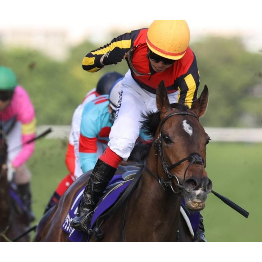 グランアレグリア ぬいぐるみ Mサイズ アイドルホース 第38回マイルCS