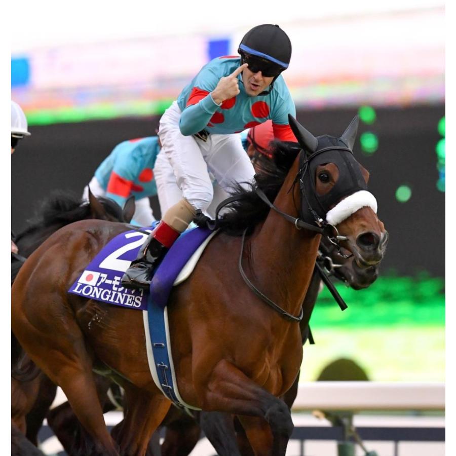 アーモンドアイ（9冠メモリアル） ぬいぐるみ Mサイズ アイドルホース