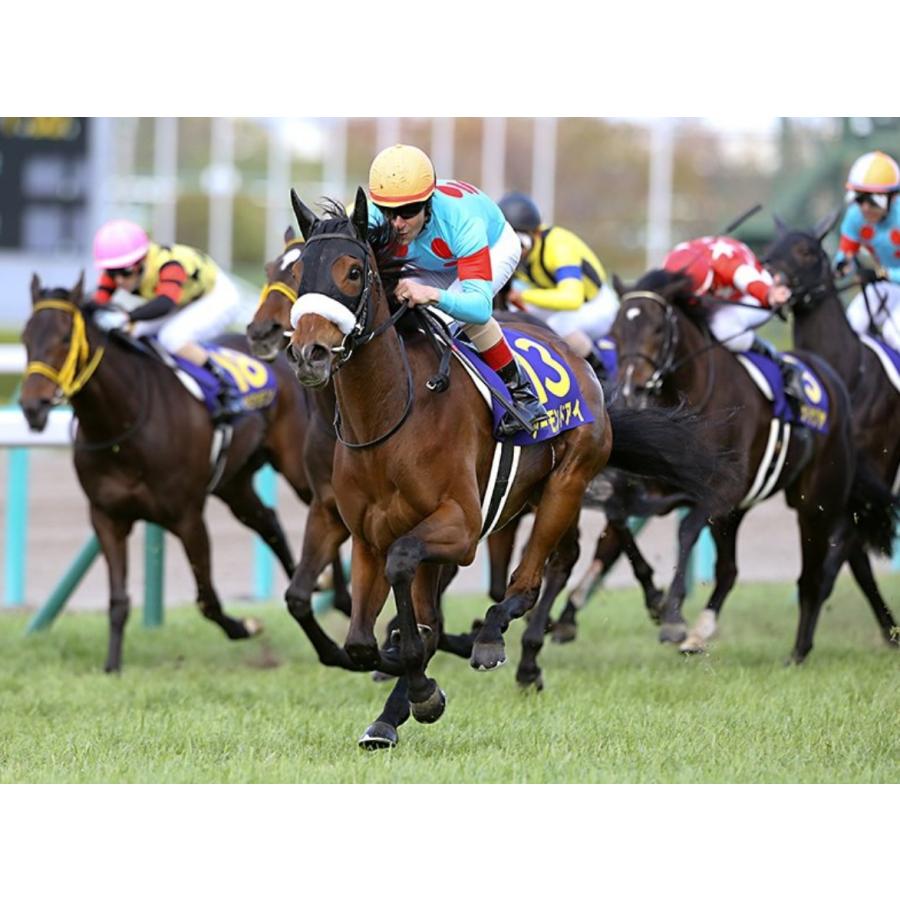 よ*ち様 競馬 アーモンドアイ japan cup 2020 限定 記念グッズ アイドルホース【アーモンドアイ/'20ジャパンカップ/9冠Ver】(S