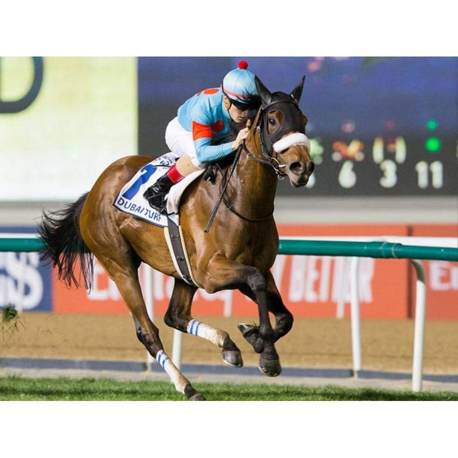 アーモンドアイ（9冠メモリアル） ぬいぐるみ Mサイズ アイドルホース