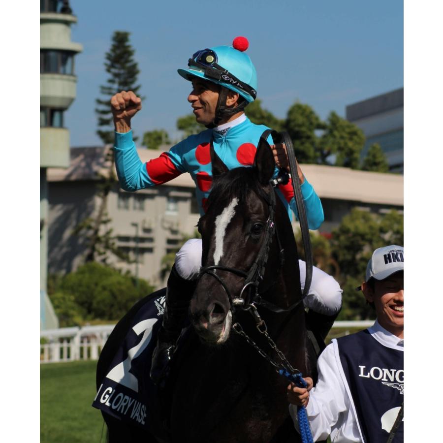 グローリーヴェイズ ぬいぐるみ Mサイズ 競馬 アイドルホース 21年香港