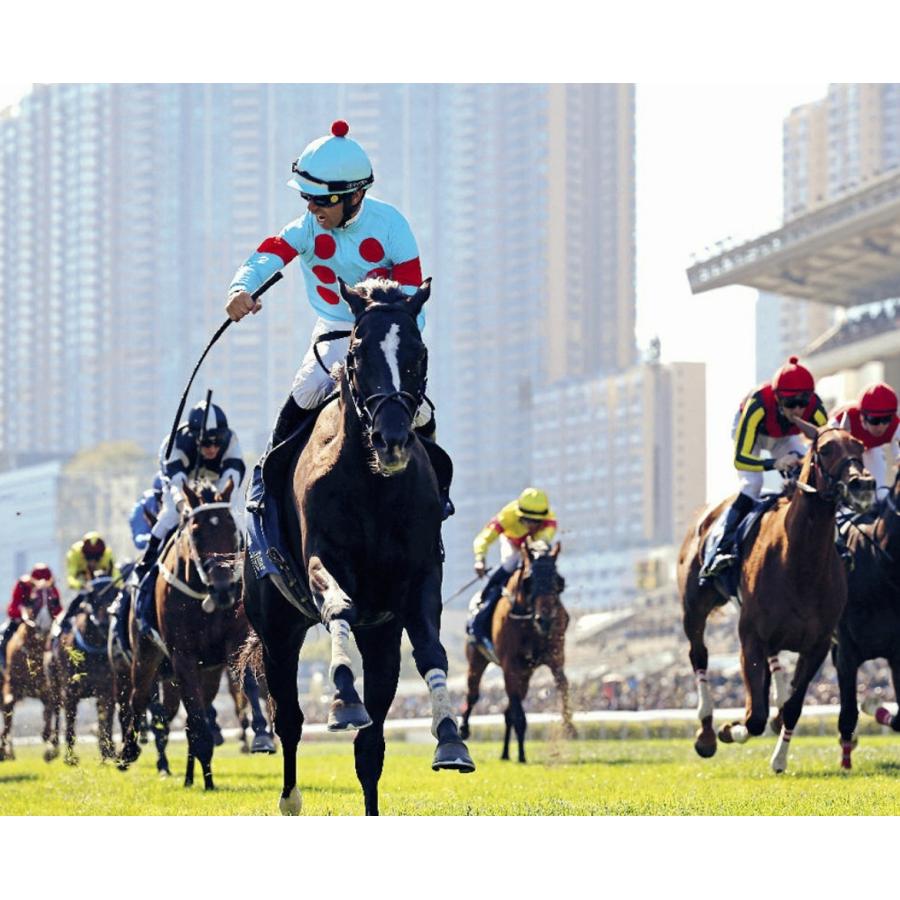 グローリーヴェイズ ぬいぐるみ Mサイズ 競馬 アイドルホース 21年香港