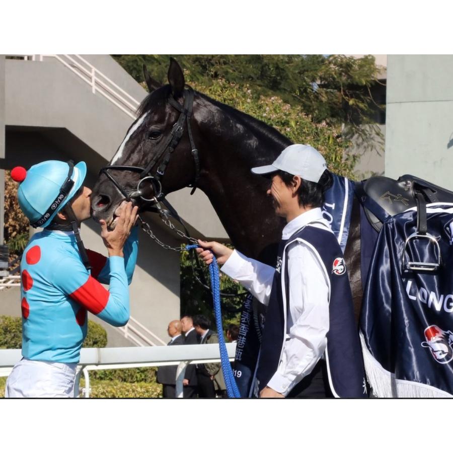 グローリーヴェイズ ぬいぐるみ Mサイズ 競馬 アイドルホース 21年香港