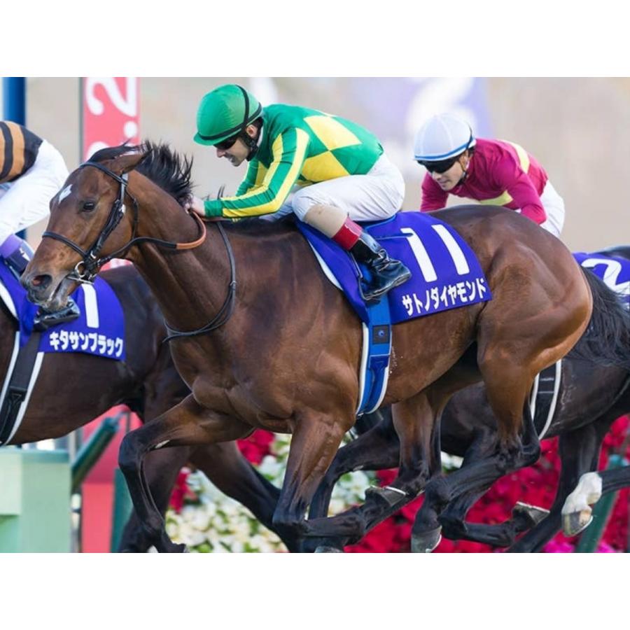 サトノダイヤモンド ぬいぐるみ Mサイズ 競馬 アイドルホース 第 サトノダイヤモンド ぬいぐるみ Mサイズ 競馬 アイドルホース 第