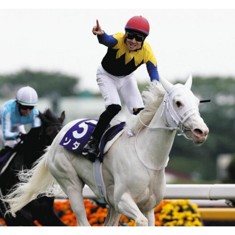 メイケイエール　メイクデビューソダシ　アイドルホースドレス　Sサイズ メイケイエール メイクデビューソダシ アイドルホースドレス S