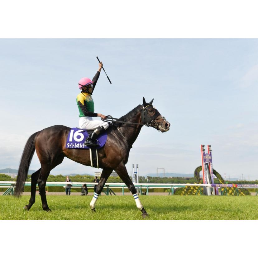 タイトルホルダー ぬいぐるみ Sサイズ 競馬 アイドルホース 第63 タイトルホルダー ぬいぐるみ Sサイズ 競馬 アイドルホース 第63