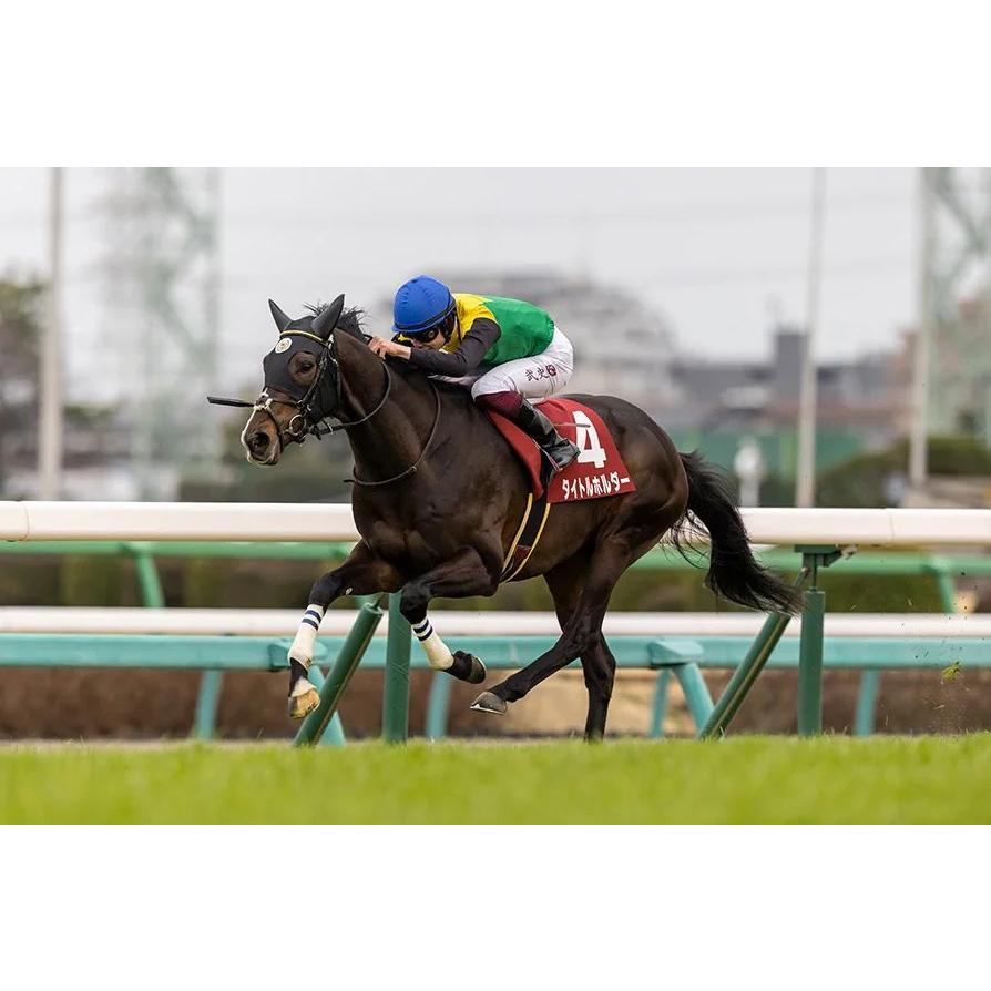タイトルホルダー ぬいぐるみ Sサイズ 競馬 アイドルホース 第63 タイトルホルダー ぬいぐるみ Sサイズ 競馬 アイドルホース 第63