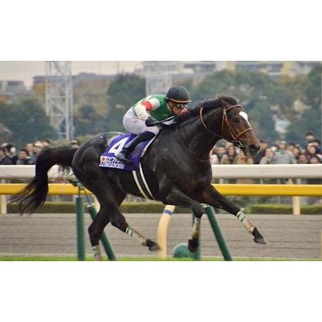 エピファネイア ぬいぐるみ Mサイズ アイドルホース 競馬 14年 エピファネイア ぬいぐるみ Mサイズ アイドルホース 競馬 14年