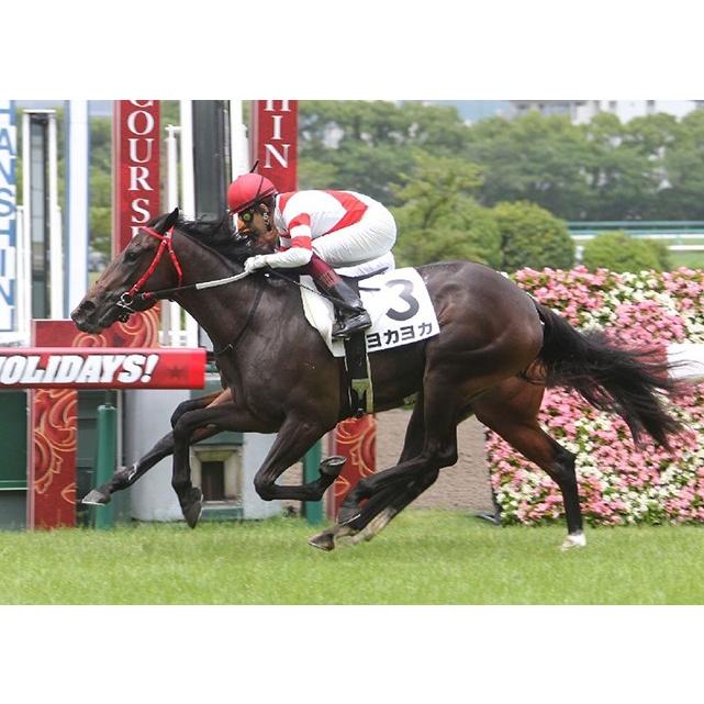 ヨカヨカ ぬいぐるみ Mサイズ 競馬 アイドルホース 21年北九州記念優勝