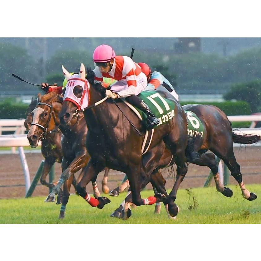 ヨカヨカ ぬいぐるみ Mサイズ 競馬 アイドルホース 21年北九州記念優勝