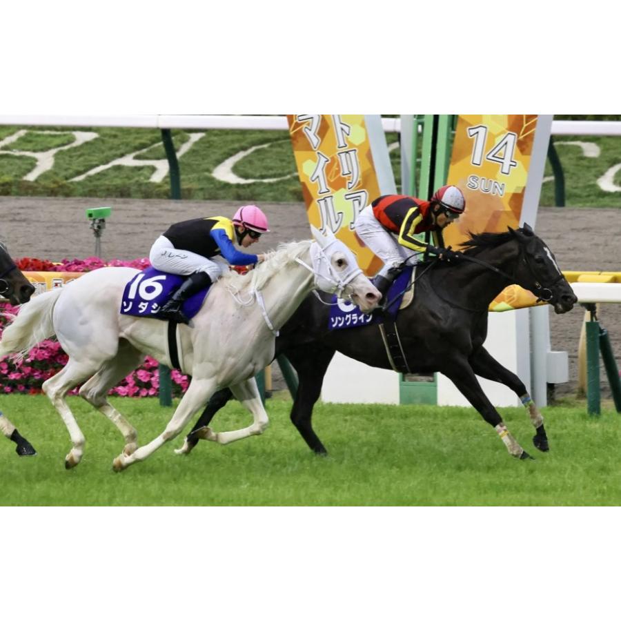 ソングライン　ぬいぐるみ　Sサイズ　競馬　アイドルホース　23年安田記念優勝記念｜shalanokionline｜07