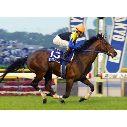 キングカメハメハ　ぬいぐるみ　Sサイズ　アイドルホース　競馬グッズ　第71回日本ダービー優勝記念｜shalanokionline｜08