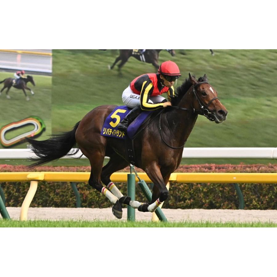 リバティアイランド(オークスVer!) ぬいぐるみ Mサイズ 競馬 リバティアイランド(オークスVer!) ぬいぐるみ Mサイズ 競馬
