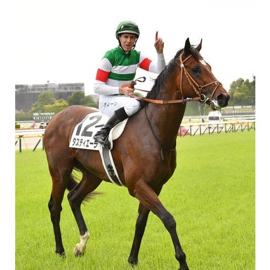 タスティエーラ ぬいぐるみ Sサイズ アイドルホース 競馬グッズ タスティエーラ ぬいぐるみ Sサイズ アイドルホース 競馬グッズ