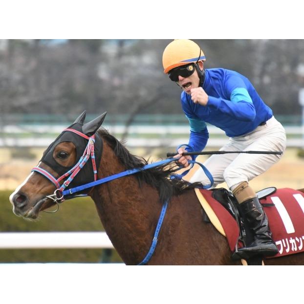 アフリカンゴールド ぬいぐるみ Mサイズ アイドルホース 競馬グッズ 22