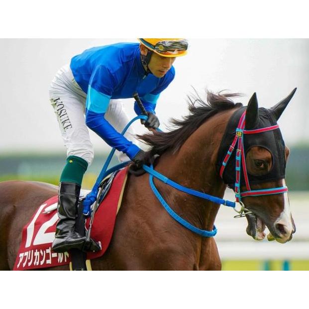 アフリカンゴールド ぬいぐるみ Mサイズ アイドルホース 競馬グッズ 22