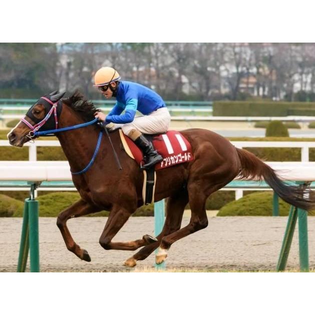 アフリカンゴールド ぬいぐるみ Mサイズ アイドルホース 競馬グッズ 22