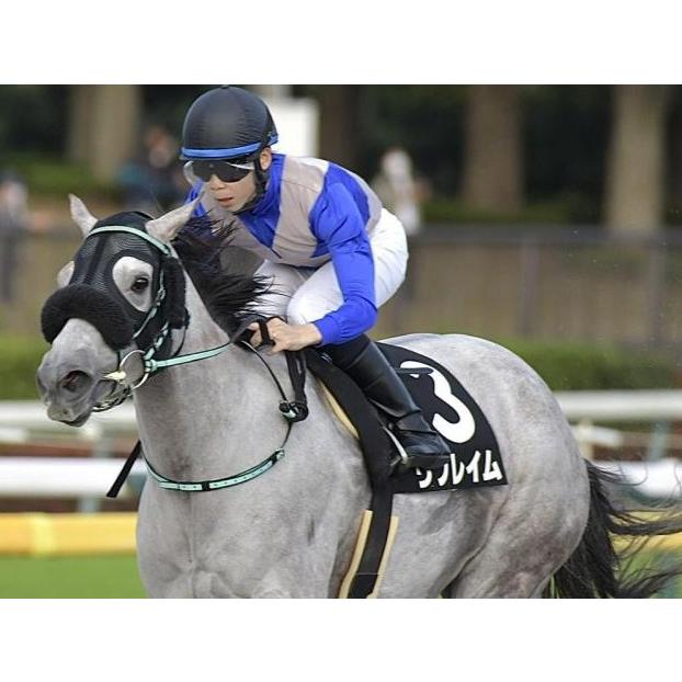 リフレイム ぬいぐるみ Mサイズ アイドルホース 競馬グッズ 22年 リフレイム ぬいぐるみ Mサイズ アイドルホース 競馬グッズ 22年