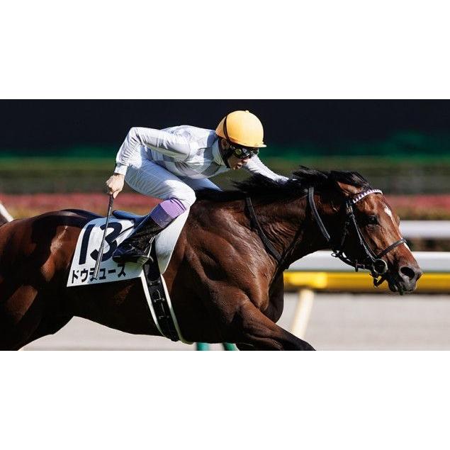 ドウデュース 有馬記念Ver! ぬいぐるみ 超BIGサイズ! 競馬 ドウデュース 有馬記念Ver! ぬいぐるみ 超BIGサイズ! 競馬