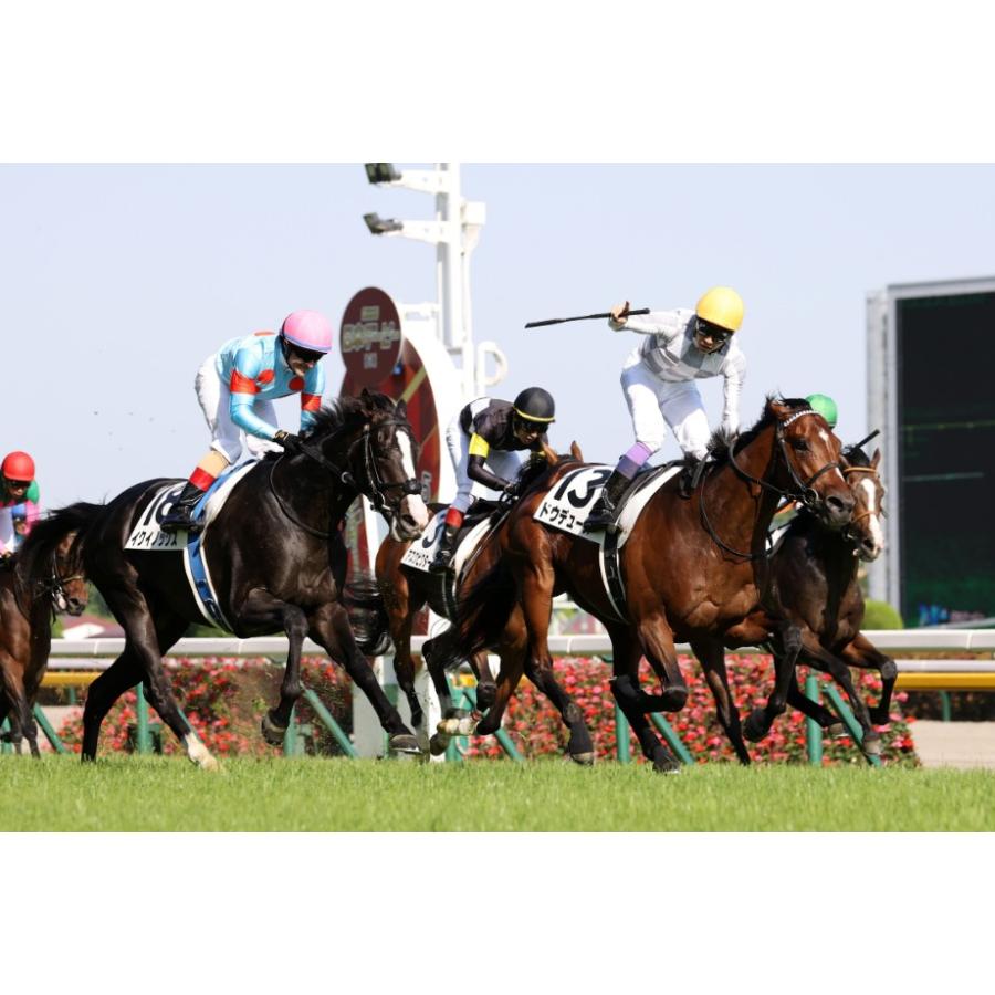 ドウデュース 有馬記念Ver! ぬいぐるみ 超BIGサイズ! 競馬 ドウデュース 有馬記念Ver! ぬいぐるみ 超BIGサイズ! 競馬