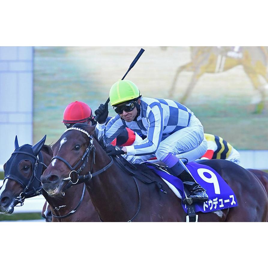 ドウデュース 有馬記念Ver! ぬいぐるみ 超BIGサイズ! 競馬 ドウデュース 有馬記念Ver! ぬいぐるみ 超BIGサイズ! 競馬
