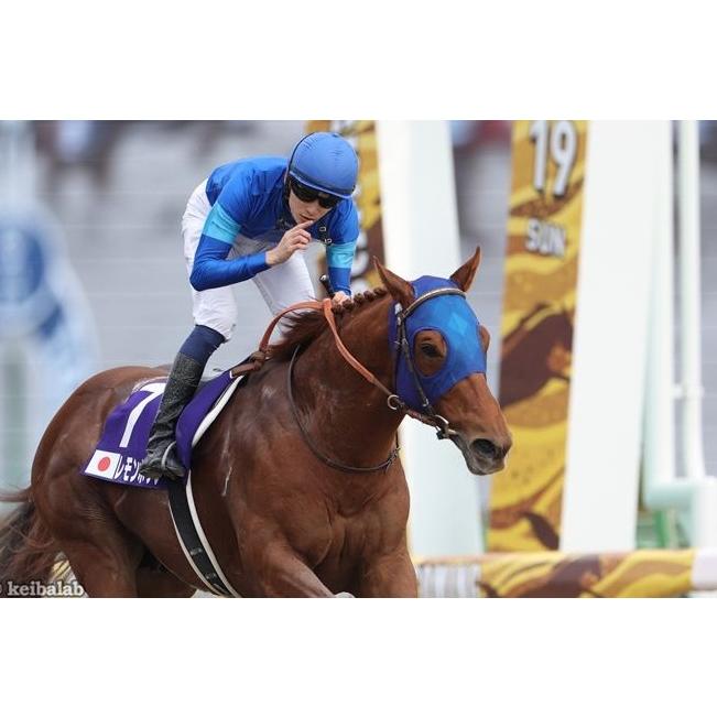 競馬　アイドルホース　モーリス　チャンピオンズマイル　Mサイズ 馬券付き】モーリス アイドルホースぬいぐるみ - メルカリ