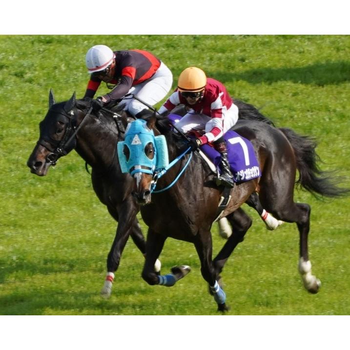 オジュウチョウサン ぬいぐるみ くっつきマスコット アイドル