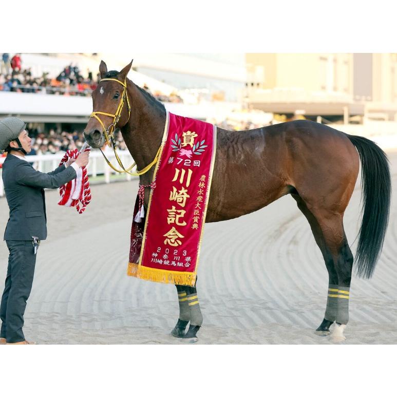 ウシュバテソーロ ぬいぐるみ Mサイズ アイドルホース 競馬 2023