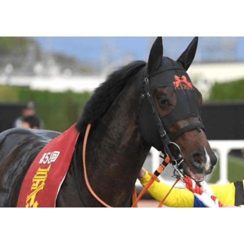 ジャンタルマンタル ぬいぐるみ Sサイズ アイドルホース 競馬 ジャンタルマンタル ぬいぐるみ Sサイズ アイドルホース 競馬