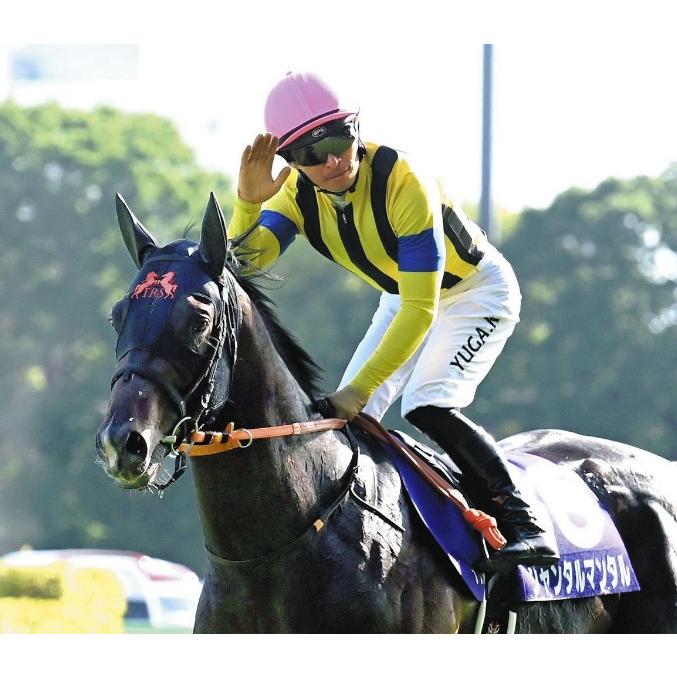 ジャンタルマンタル ぬいぐるみ Mサイズ アイドルホース 競馬 ジャンタルマンタル ぬいぐるみ Mサイズ アイドルホース 競馬