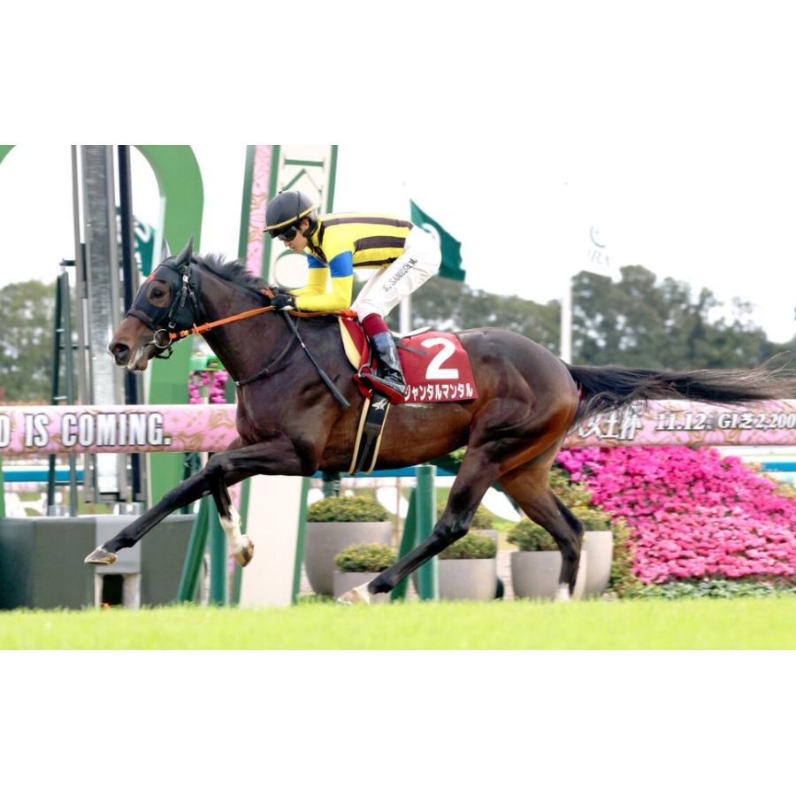 ジャンタルマンタル ぬいぐるみ Mサイズ アイドルホース 競馬 ジャンタルマンタル ぬいぐるみ Mサイズ アイドルホース 競馬