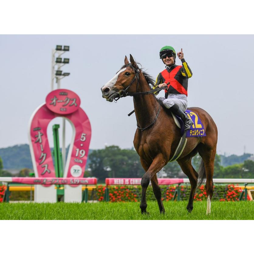 チェルヴィニア ぬいぐるみ Sサイズ アイドルホース 競馬グッズ チェルヴィニア ぬいぐるみ Sサイズ アイドルホース 競馬グッズ