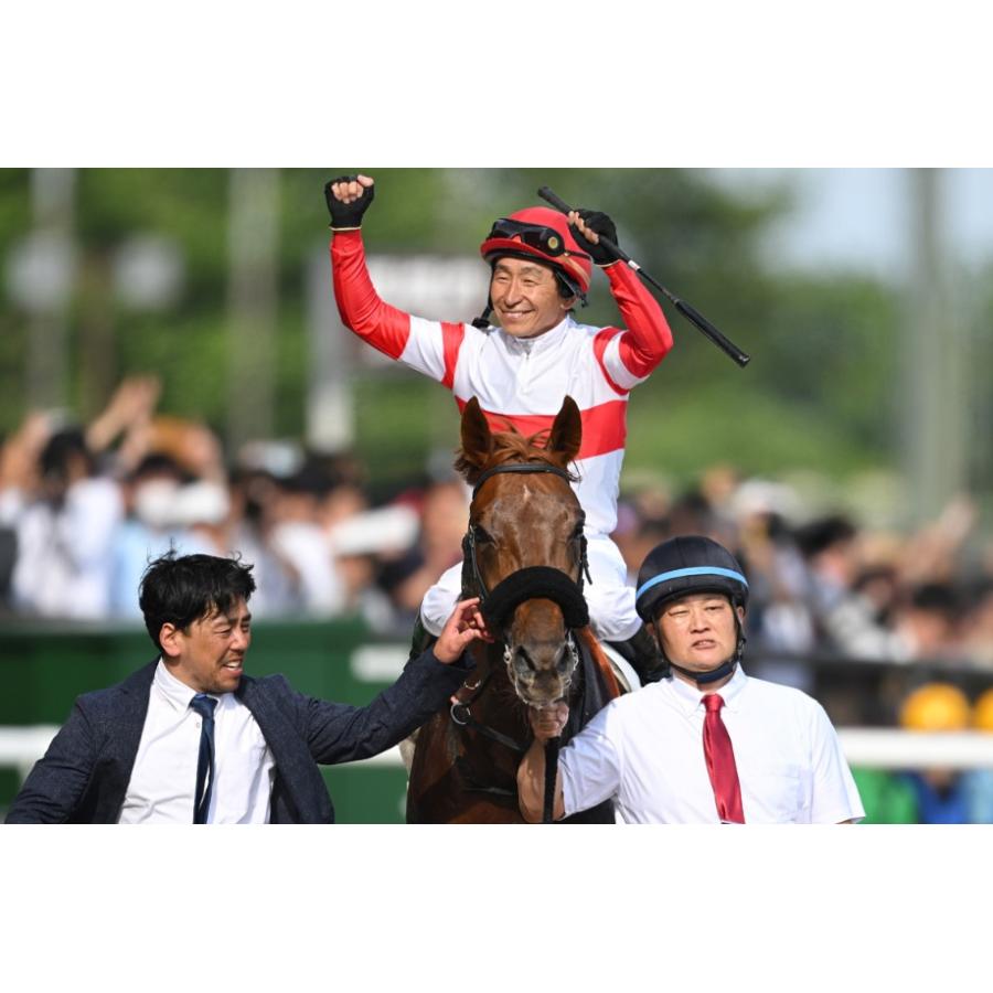 ダノンデサイル ぬいぐるみ Sサイズ アイドルホース 競馬グッズ ダノンデサイル ぬいぐるみ Sサイズ アイドルホース 競馬グッズ