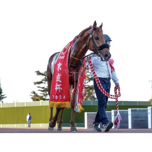 ダノンデサイル ぬいぐるみ Sサイズ アイドルホース 競馬グッズ ダノンデサイル ぬいぐるみ Sサイズ アイドルホース 競馬グッズ
