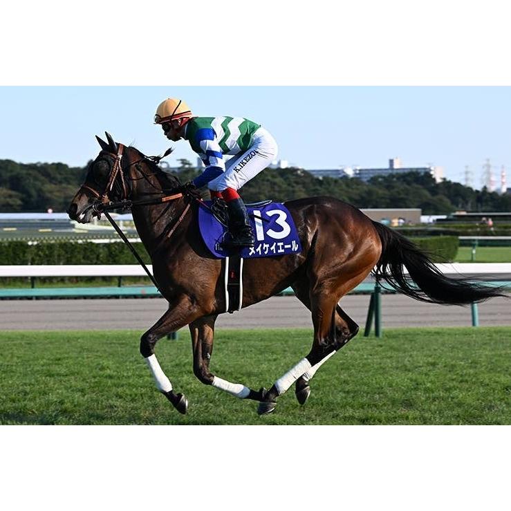 メイケイエール ぬいぐるみ Sサイズ 競馬 アイドルホース 第40回 メイケイエール ぬいぐるみ Sサイズ 競馬 アイドルホース 第40回