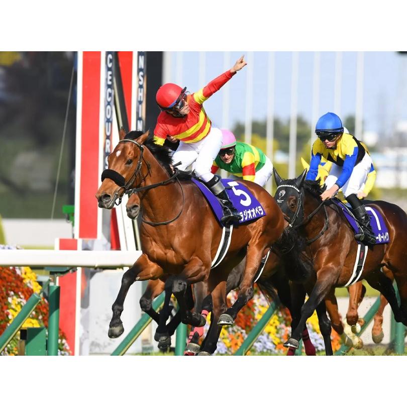 べラジオオペラ ぬいぐるみ Sサイズ アイドルホース 2025年大阪杯優勝
