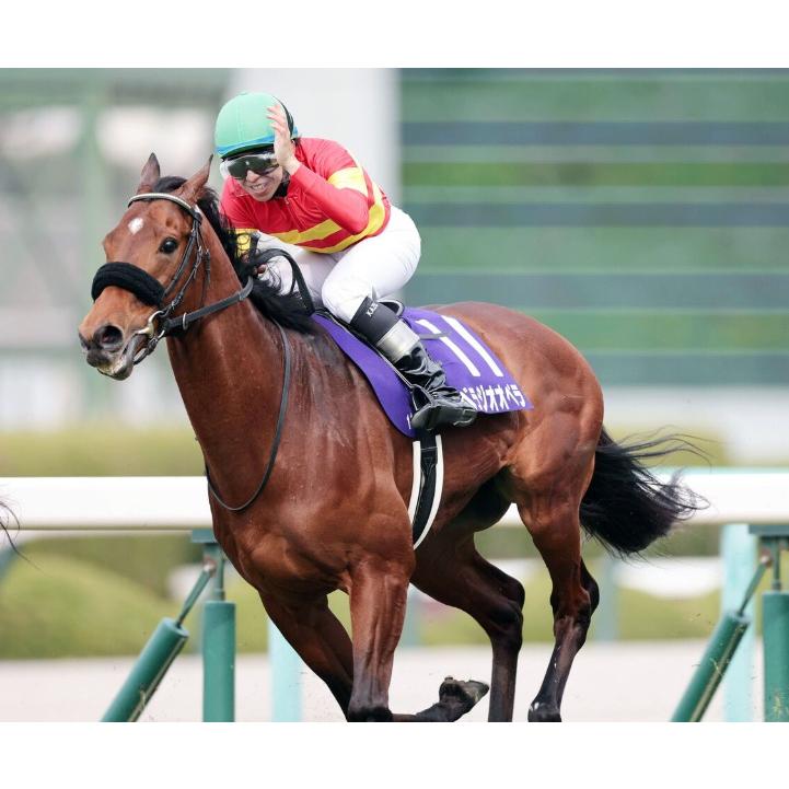 べラジオオペラ ぬいぐるみ Sサイズ アイドルホース 2025年大阪杯優勝