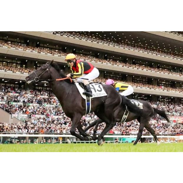 クロワデュノール ぬいぐるみ Sサイズ アイドルホース 第92回