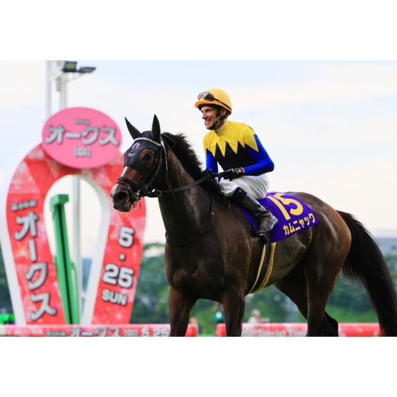 カムニャック ぬいぐるみ Sサイズ アイドルホース 第86回オークス優勝