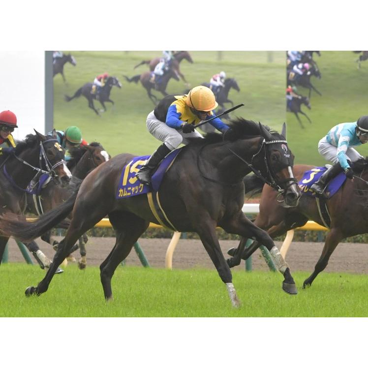 カムニャック ぬいぐるみ Sサイズ アイドルホース 第86回オークス優勝