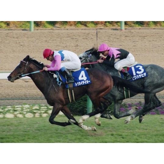 トウカイテイオー ぬいぐるみ Mサイズ 競馬 アイドルホース 第58回日本