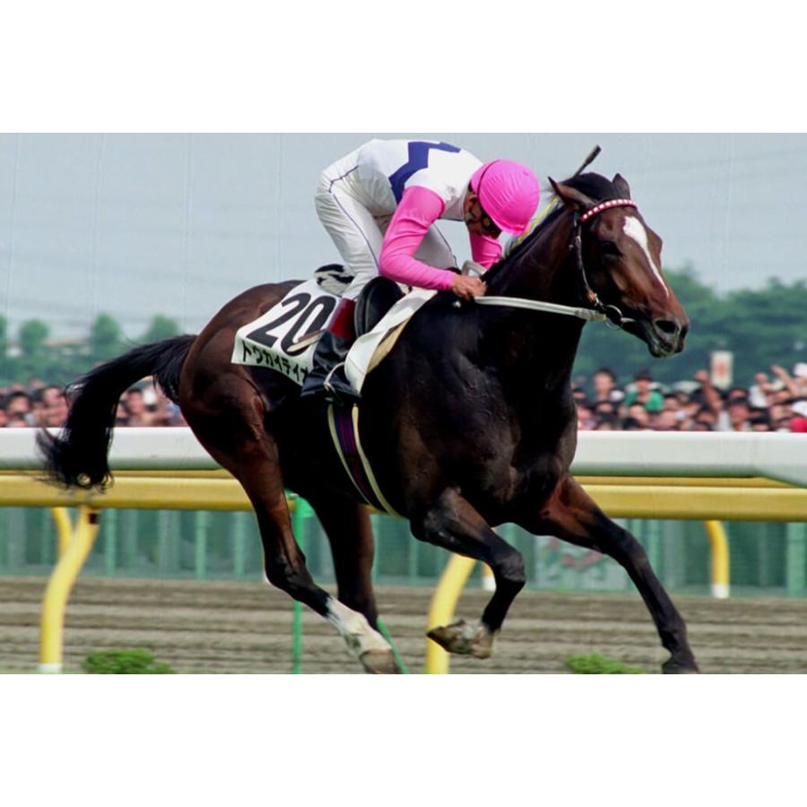 トウカイテイオー ぬいぐるみ Mサイズ 競馬 アイドルホース 第58回日本