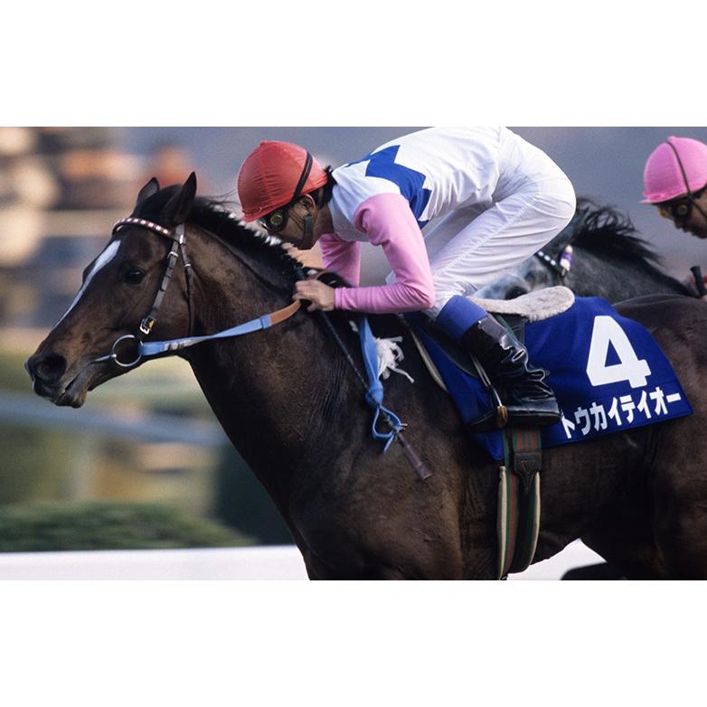 トウカイテイオー ぬいぐるみ Mサイズ 競馬 アイドルホース 第58回日本