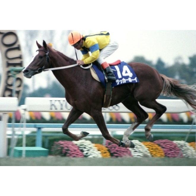 サッカーボーイ アイドルホース Sサイズ ぬいぐるみ 競馬グッズ 第24回