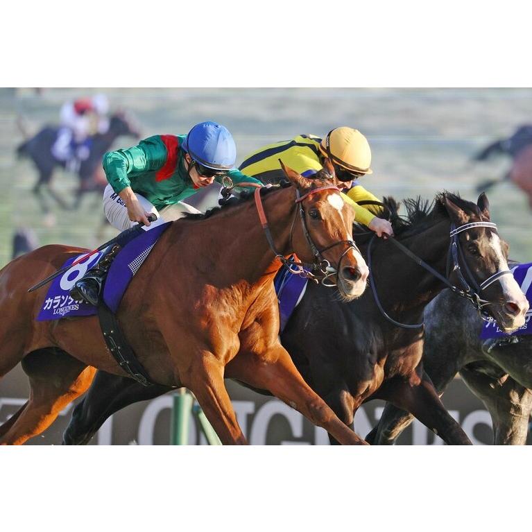 カランダガン ぬいぐるみ Sサイズ アイドルホース 競馬グッズ 第45回
