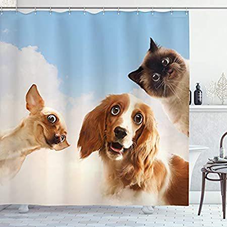 特別価格面白いシャワーカーテンby Ambesonne 猫と犬domesticホームペットfriends Cute B074gz4yz6 シャワー カーテン オンラインショップ沙羅の樹 Hilarious式スカイ雲コラージュ カーテン ブラインド オンラインショップ沙羅の樹の特別価格面白いシャワー カーテンby フ