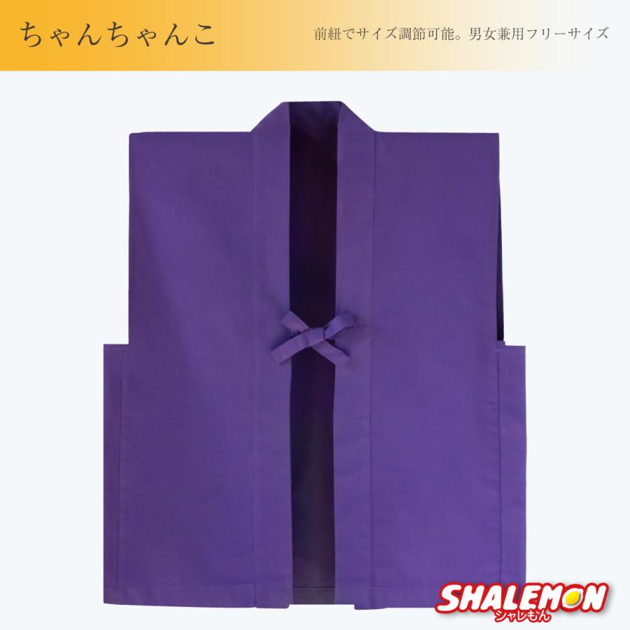 Ｂ４　衣装チェンジ　紫ちゃんちゃんこ シャレもん 古希 お祝い ちゃんちゃんこ 名入れ ( 古希だもの 赤落款70