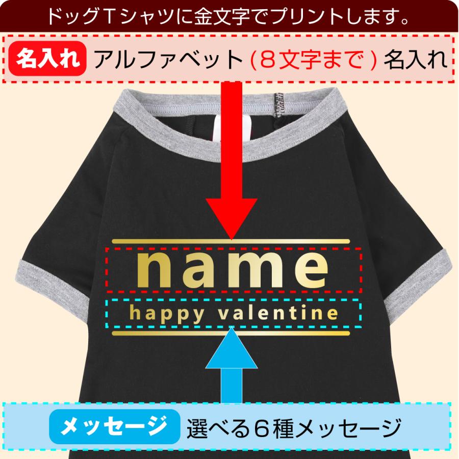 犬用 服 Ｔシャツ ( シャレわん 選べる5色  ドッグＴ 名入れ チョコ 風 ) おもしろ 義理 バレンタイン 2024 シャレもん｜shalemon｜07