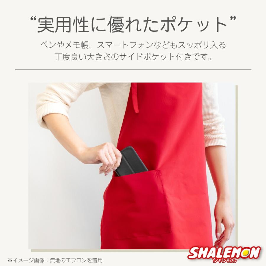 シャレもん 母の日 プレゼント ( エプロン )( ワンポイント 選べる